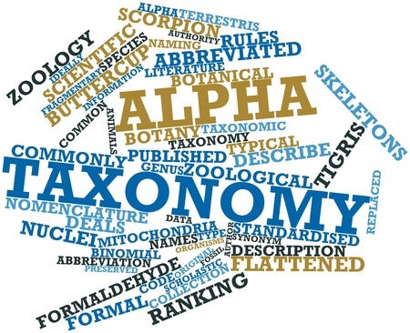 Key trends for efficient analytics (1) : a web taxonomy